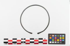 Foto von Bronzearmreif (NHMW-PRAE-023698)